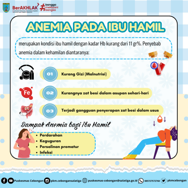 Anemia pada Ibu Hamil